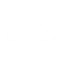 Selo G20 2020